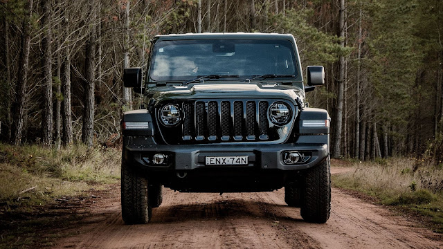 Forest, Jeep Wrangler, Jeep, Black Car, Suv