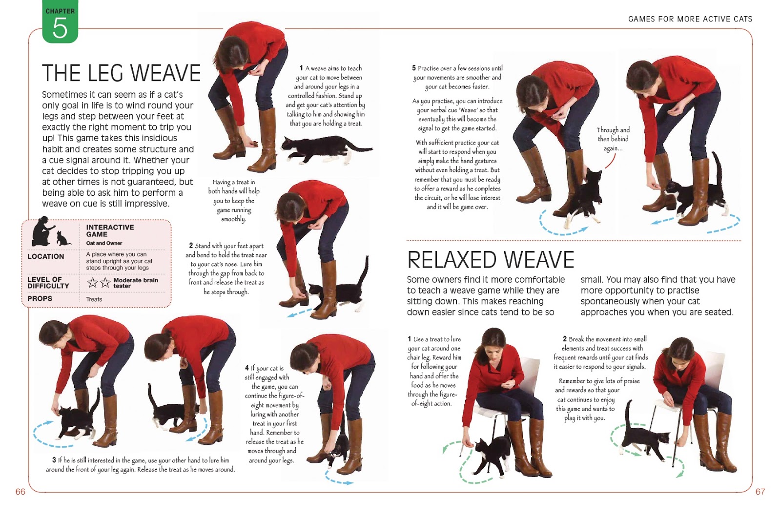 Cat and DOG Chat With Caren BookBrain Games for Cats by Claire Arrowsmith (GiveAway!)