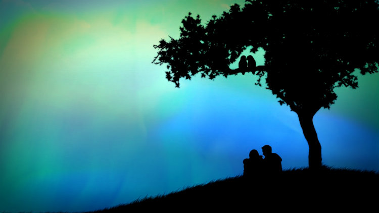 Casal abraçados sentados de baixo de uma árvore num pequeno morro.