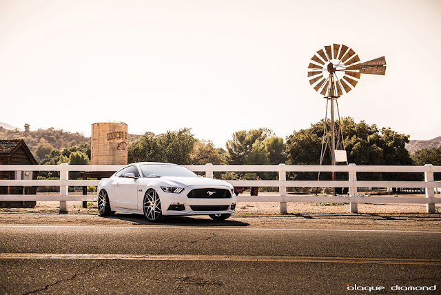 2015 Ford Mustang GT With 22 BD-3's in Matte Graphite - Blaque Diamond Wheels