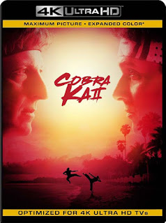 Cobra Kai Temporada 1-2 (2018) 4K 2160p UHD [HDR] Latino [GoogleDrive]