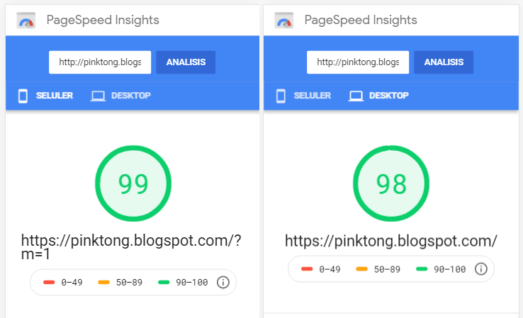 pinktong speed test result Google PageSpeed Insights