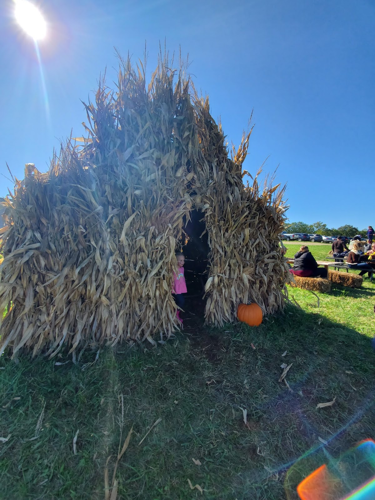 Play St. Louis Pin Oak Farms, New Haven