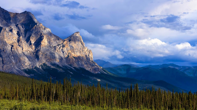 Wallpaper mountains, relief, forest, trees, landscape Wallpaper mountains, relief, forest, trees, landscape