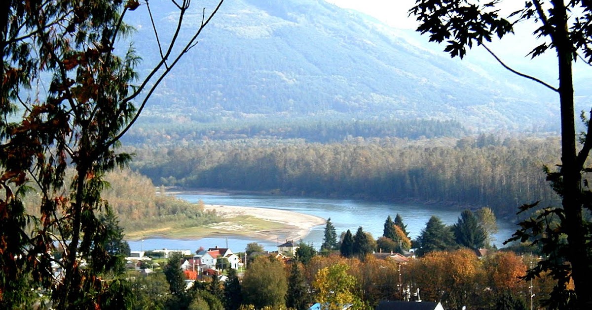 BLS Partner Post Lyman joins BLS