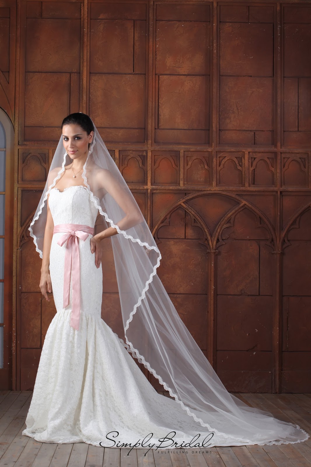 Wedding Pictures Wedding Photos: Cheap Wedding Dress | Wedding Veil