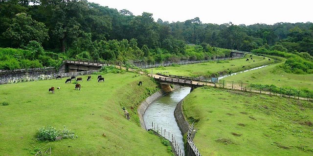 Chiklihole Reservoir Coorg(Entry Fee, Timings, Reviews, Best Time & Location)