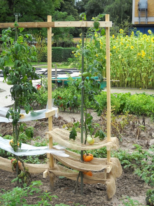 Braunelles Garten: Botanischer Garten Frankfurt – botanical garden in