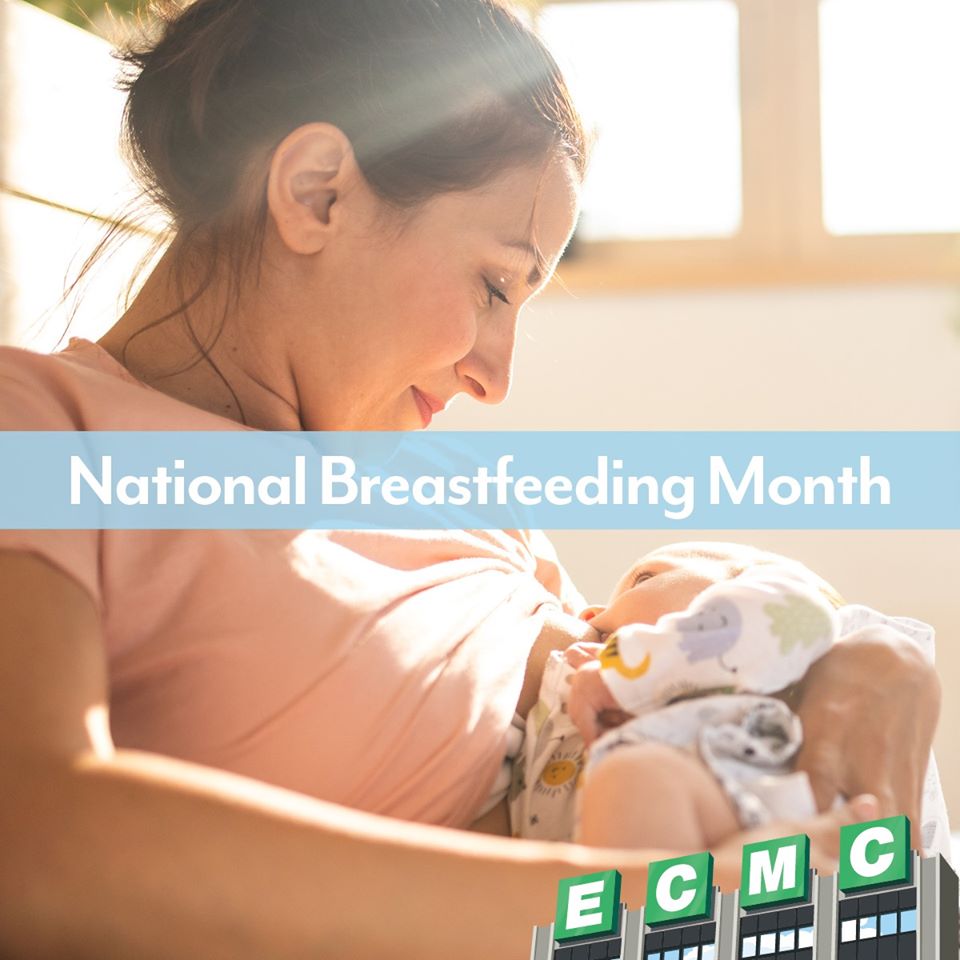 National Breastfeeding Month National Breastfeeding Month