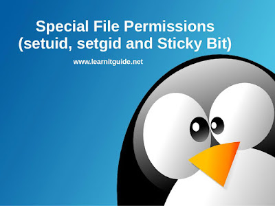 Special File Permissions (SetUID, SetGID and Sticky Bit)