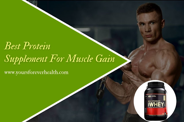 best protein supplement for muscle gain