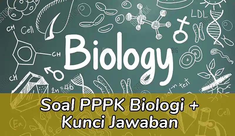 Contoh Soal Pppk Biologi Dan Kunci Jawabannya Bli Komang