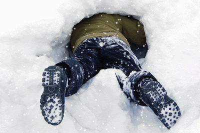 Dunia Informasi: Manusia Dapat Melakukan Hibernasi