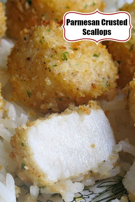 Broiled Scallops with a Parmesan Crust Delicious Family Recipes