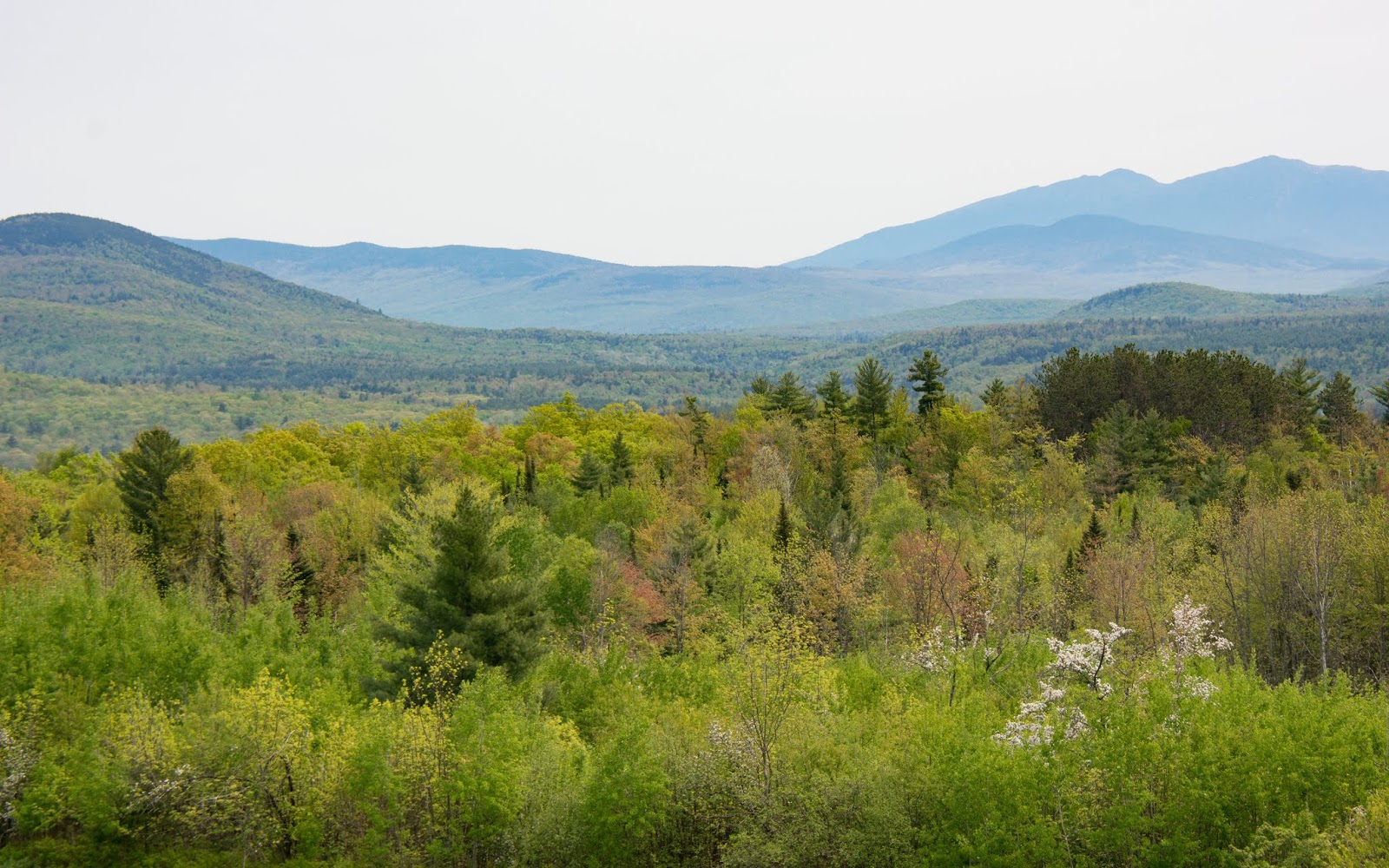 Carol's View Of New England Spring in Sugar Hill New Hampshire