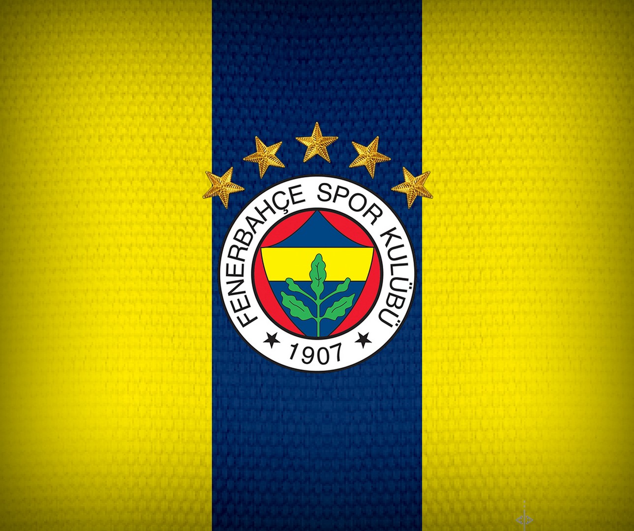 fenerbahce resimleri rooteto11