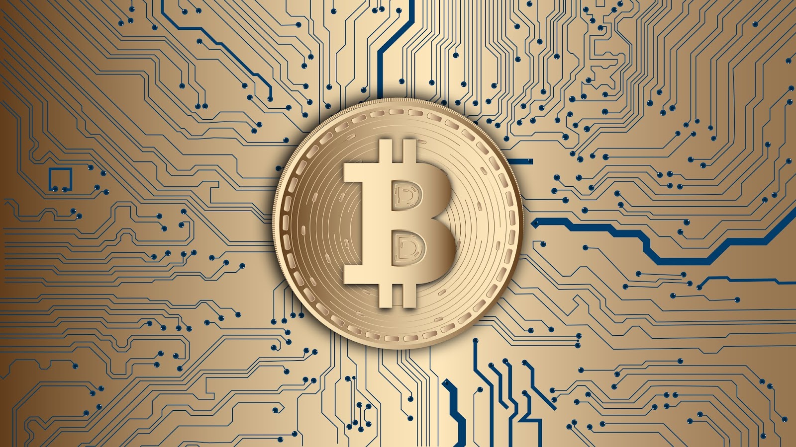 Know the importance of bitcoin and why it is has so much value