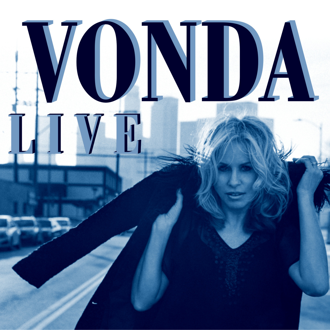 Mis discografias : Discografia Vonda Shepard
