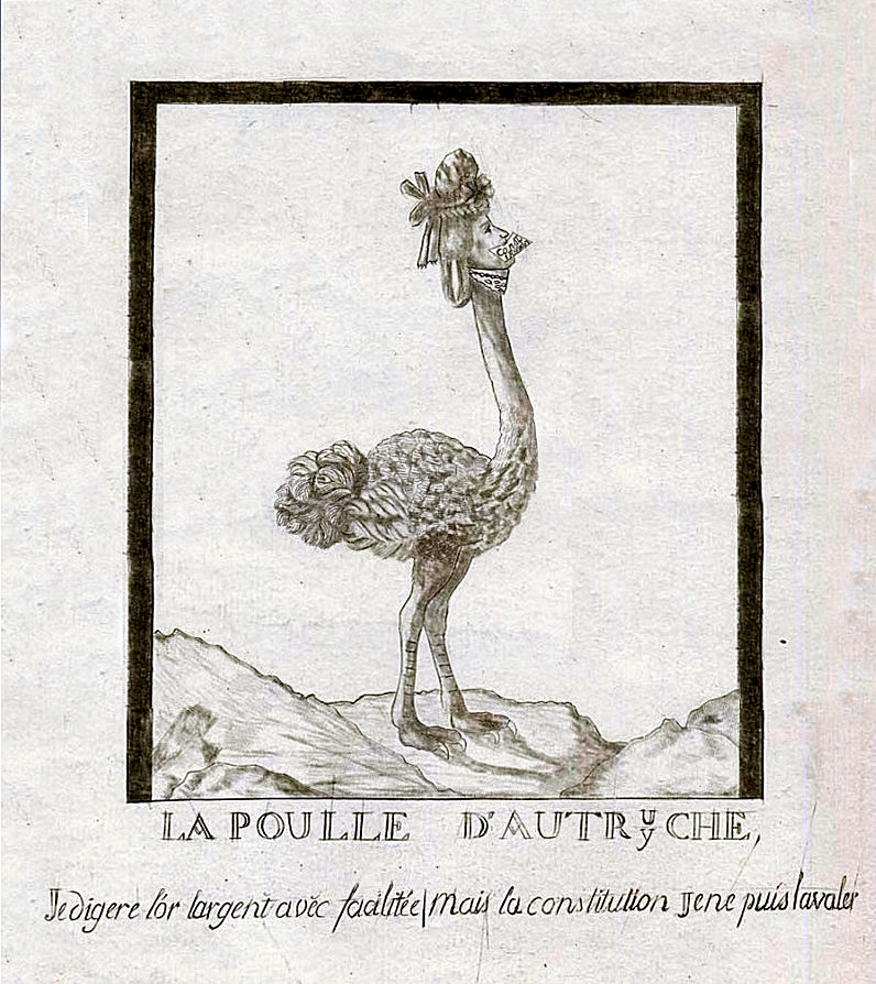 Reversal Of Man Revolution Summer Rar