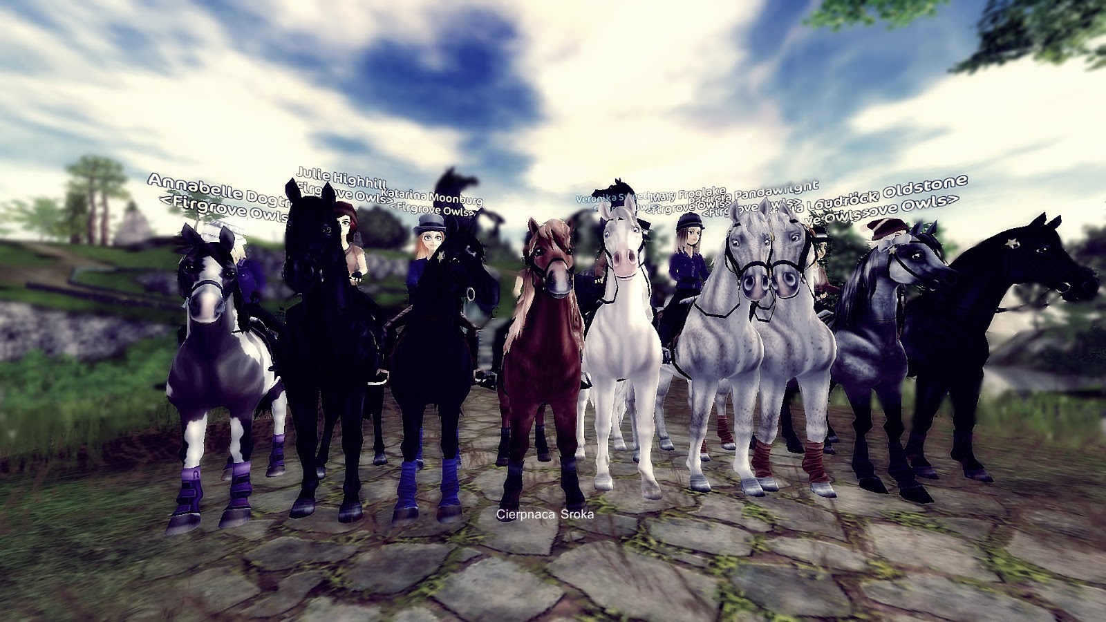 Kuce walijskie, sso foto, krótki poradnik robienia screenów, most