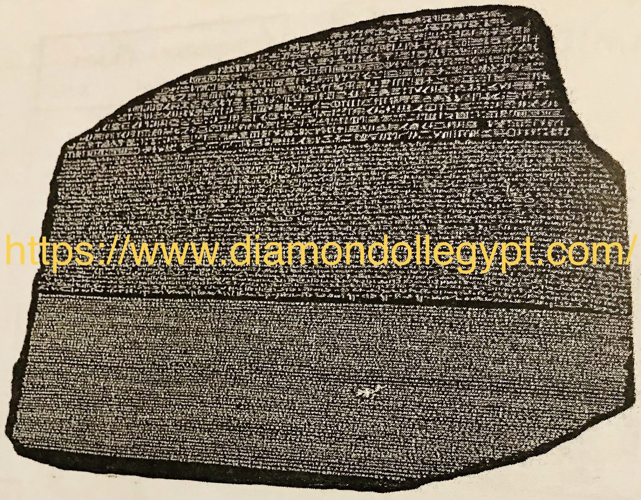 reosetta stone vs rosetta stone totale reosetta stone vs rosetta stone totale