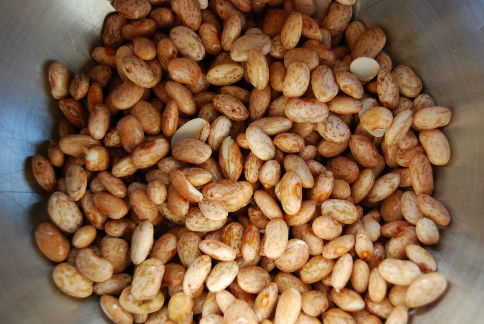 The Suburban Country Girl's Farm Canning Day!!! Spicy Chili Beans