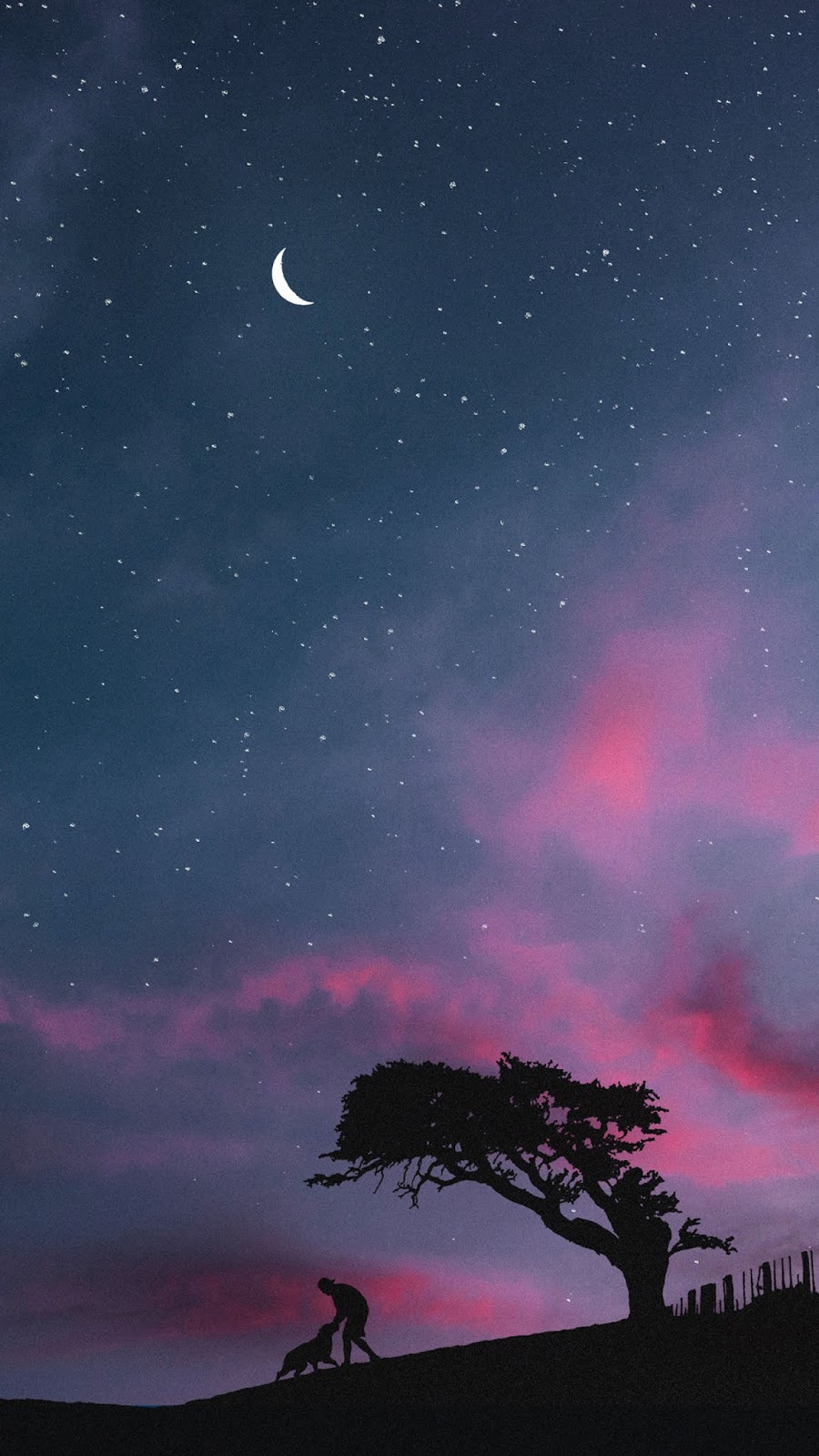 Android Wallpaper Night Sky Wallpaper Android