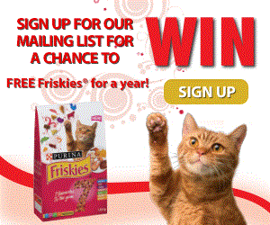 Sign up below to get great offers to your inbox from Purina, and you will be instantly entered for 1 of 2 chances to win free Friskies® for a year Image: Sign up to get great offers to your inbox from Purina, and you will be instantly entered for 1 of 2 chances to win free Friskies® for a year