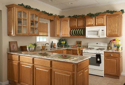 Kitchen Cabinet Ideas Kitchen Cabinet Ideas