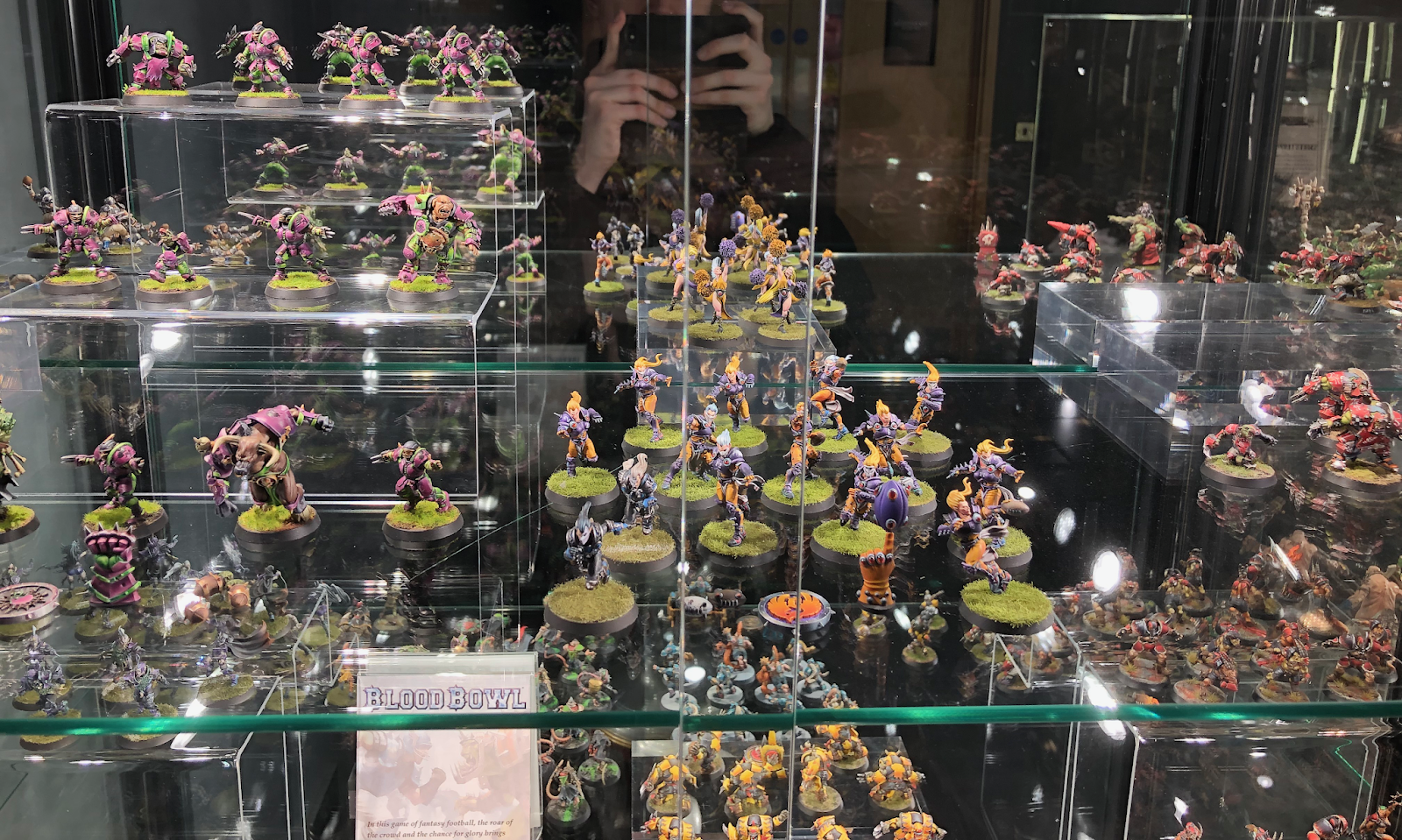 download ulfwerener blood bowl download ulfwerener blood bowl