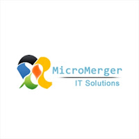 Micro Merger Private Limited Management