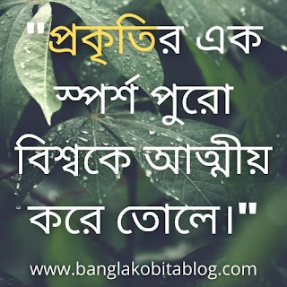 Prokriti Niye Ukti | Prokriti Niye Caption | Prokriti Niye Status | Nature Quotes In Bengali