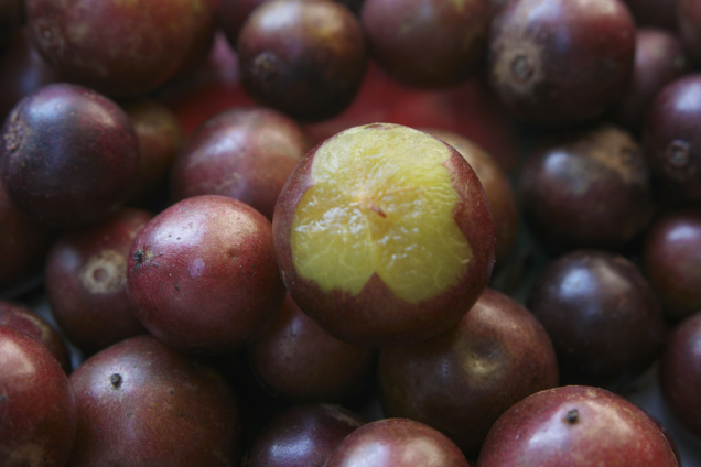 Asem Manis Rujak Buah Obel Obel Khas Pulau Lombok