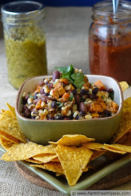 Harvest Sweet Potato Salsa | Farm Fresh Feasts