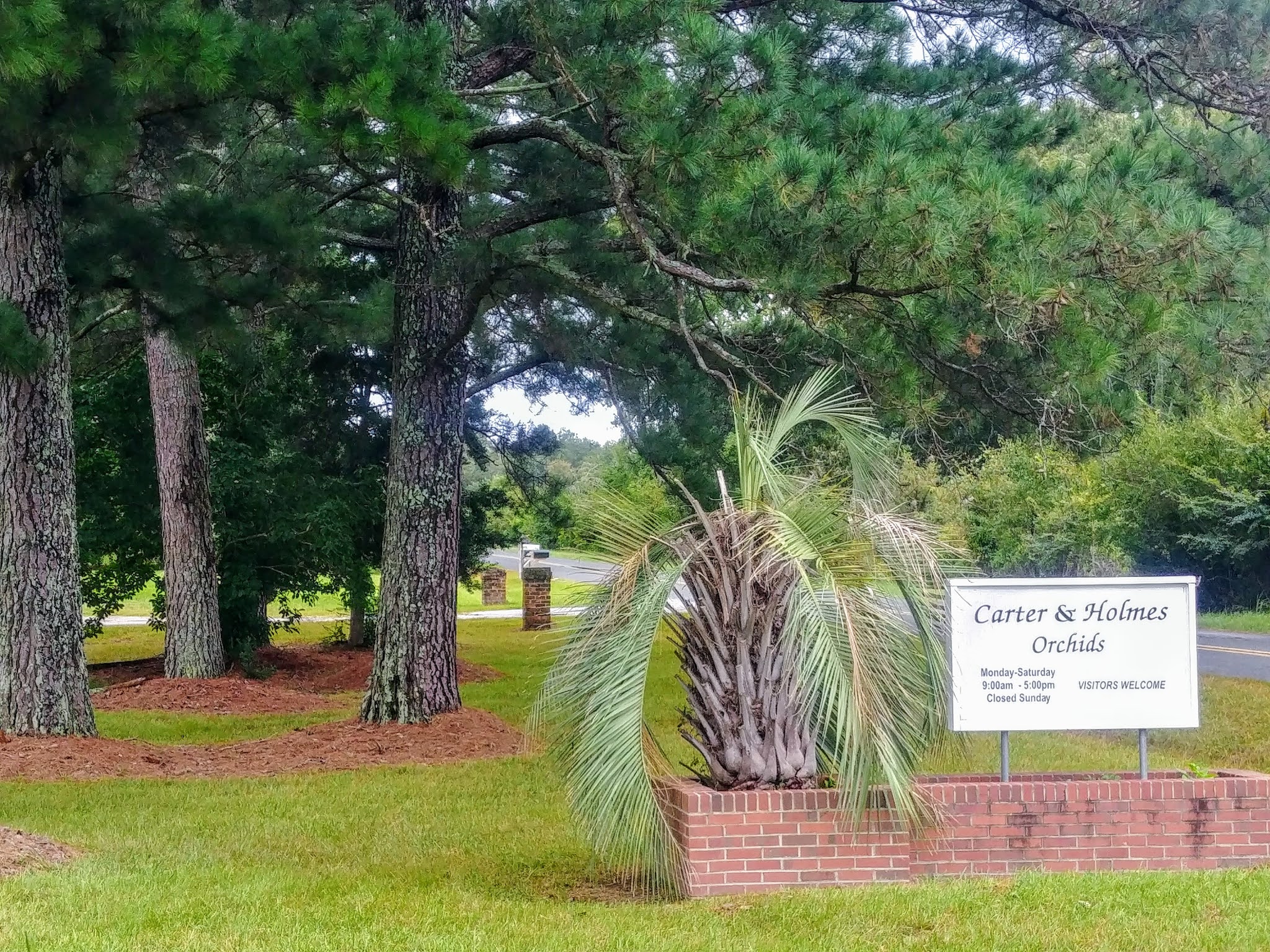 Another Mile Another Destination Blog Carter and Holmes Orchid Nursery