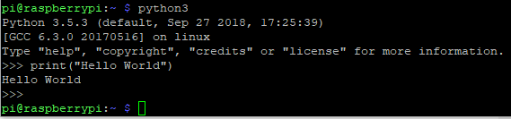 Raspberry Pi(Web 환경 원격 제어): python-startup