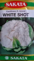 white shot, benih bunga kol white shot, bunga kol, kembang kol, cauliflower, sakata seed