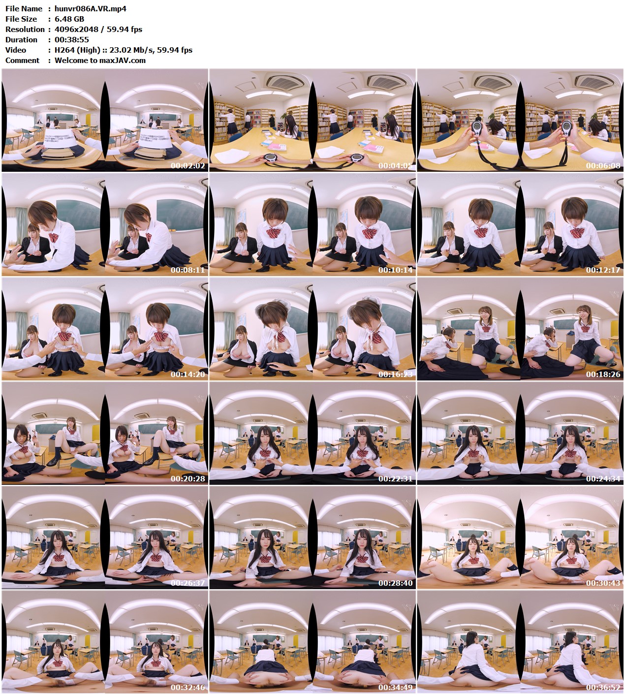 Hunvr-183 - bats.fyi