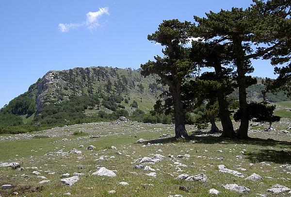 UCCIO CULT Pollinia Escursione Nel Parco Del Pollino A Luglio