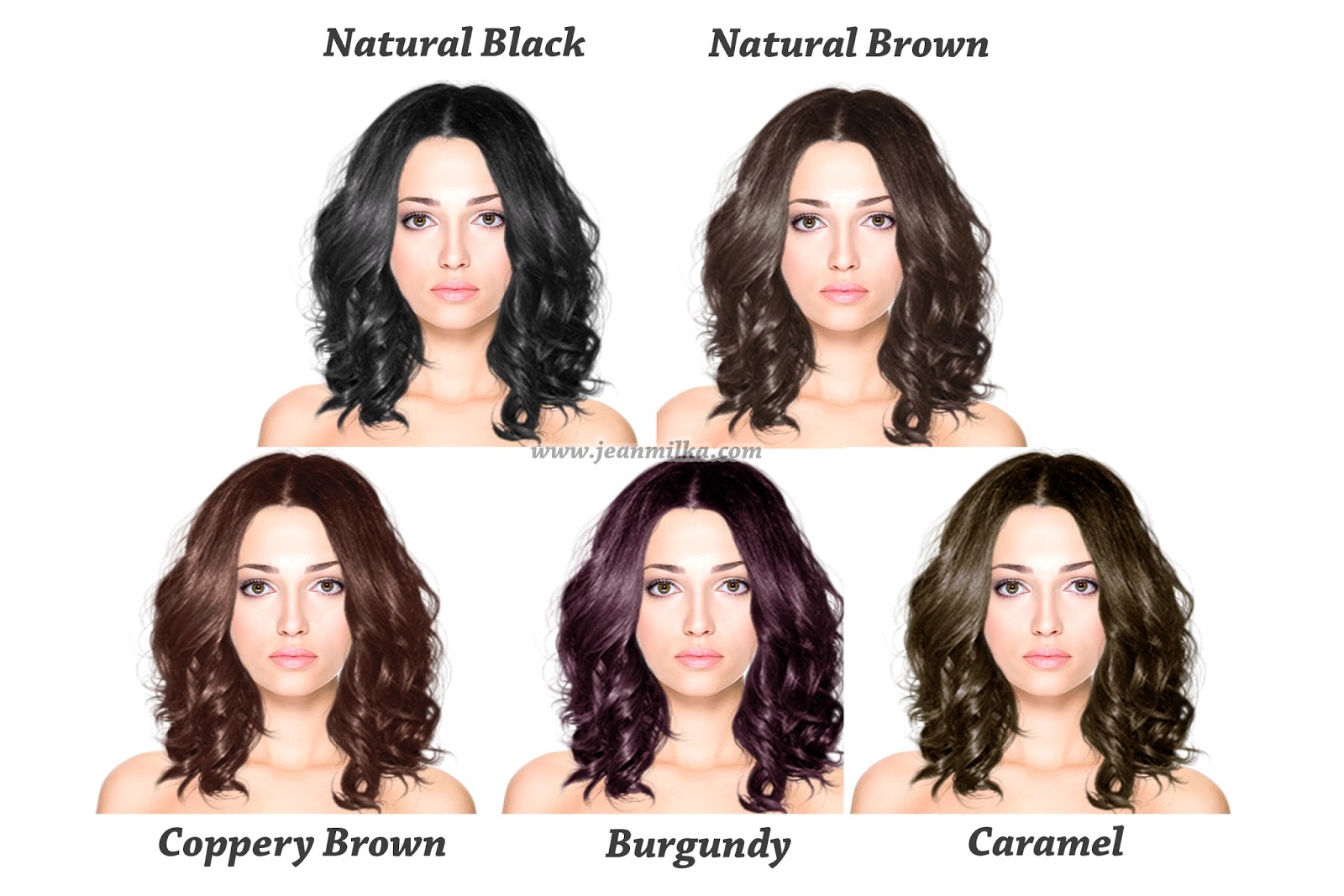  cat Warna Cat Rambut Nyu Coppery Brown