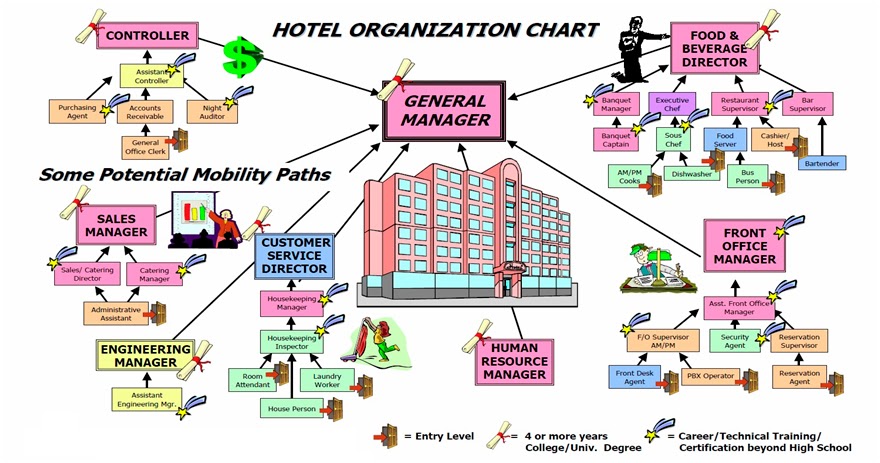 Management Information Systems Assignment: Organizational Chart