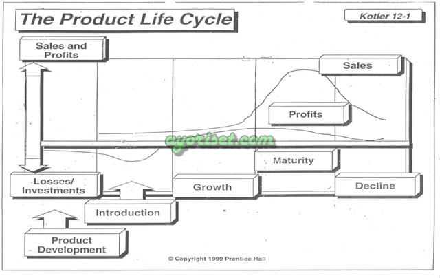 PRODUCT LIFE CYCLE