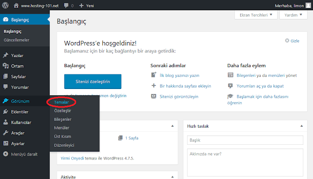 wordpress temalar görüntüsü