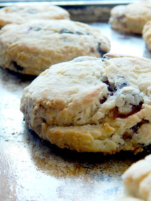 Blueberry Sour Cream Scones...soft, buttery and rich!  Plus the addition of fresh blueberries give them a juicy pop.  Easy to make and delicious to eat! (sweetandsavoryfood.com)