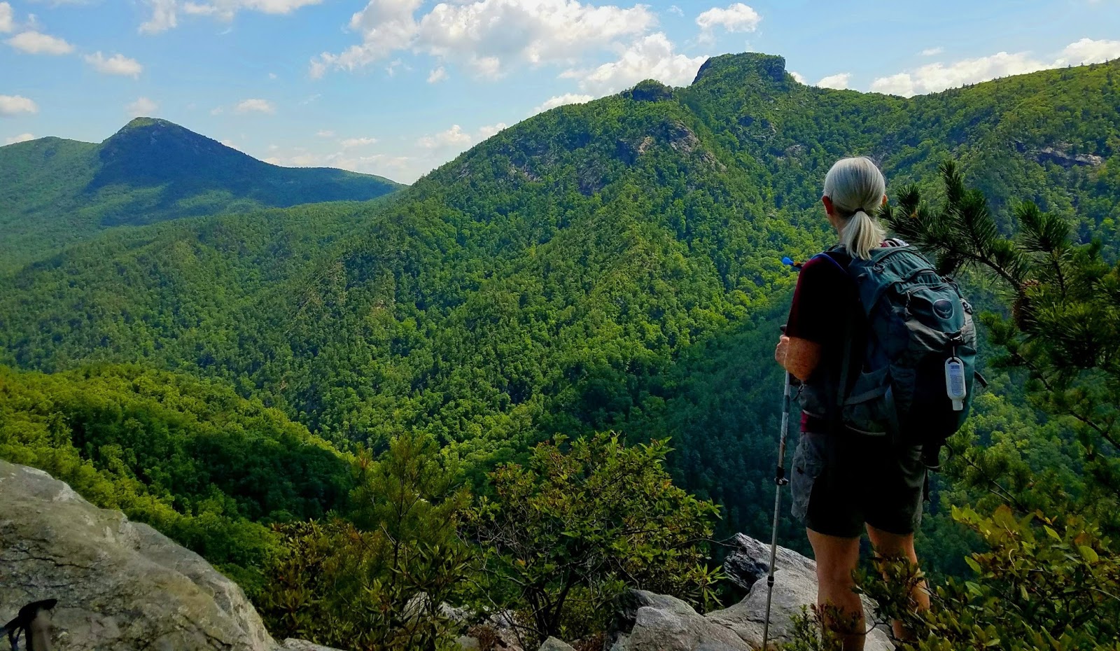 Smoky Scout's Hiking Adventures Linville Loop