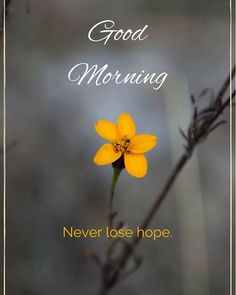 good morning wishes images