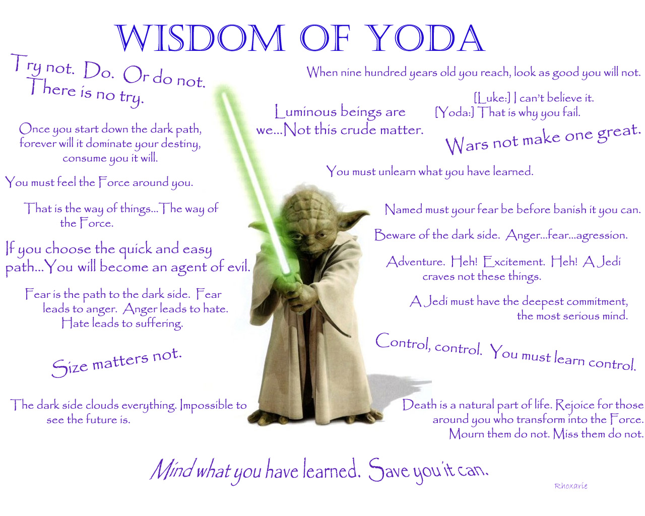 Dawn Meredith Children s Author Star Wars The Wisdom Of Yoda Write Your Own 