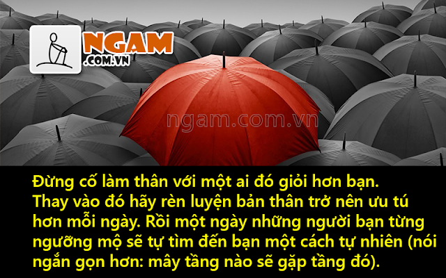 NGẪM, GÓC SUY NGẪM, NGẪM VỀ CUỘC SỐNG