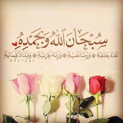 shof_11a8b2f0f4e9641