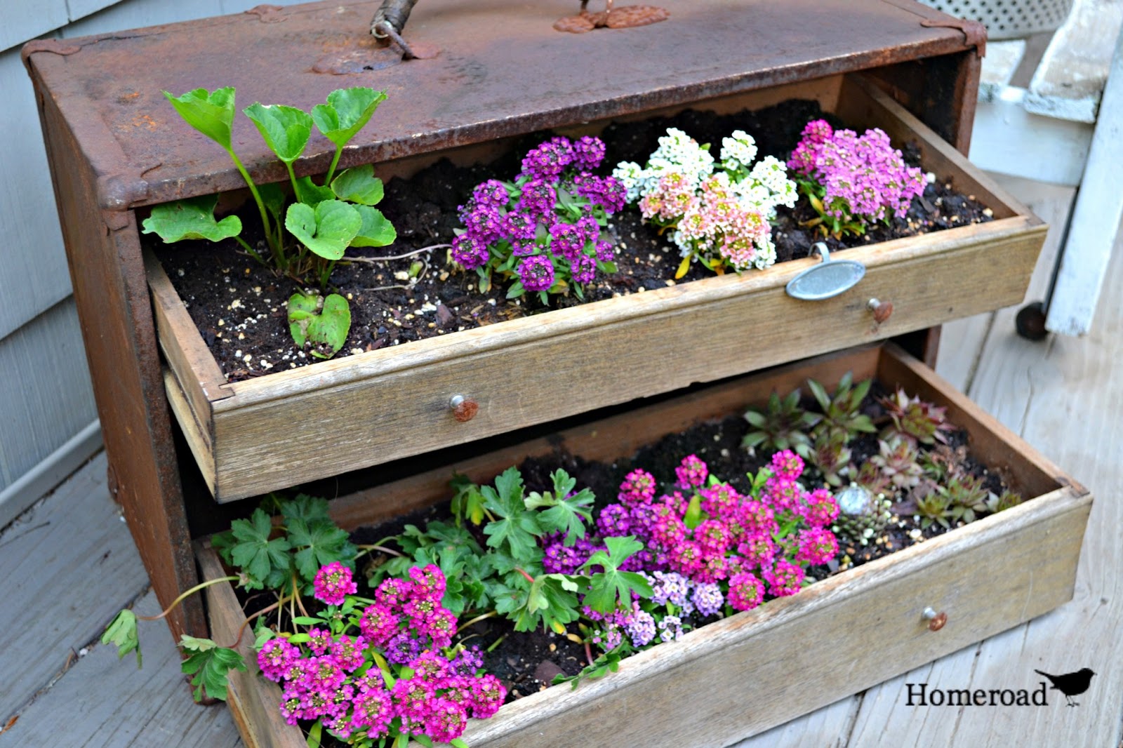 Vintage Toolbox Garden